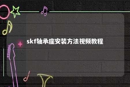 skf轴承座安装方法视频教程 