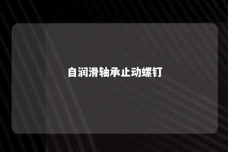自润滑轴承止动螺钉 